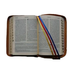 BIBLIA PIERWSZEGO KOŚCIOŁA karmelowa2